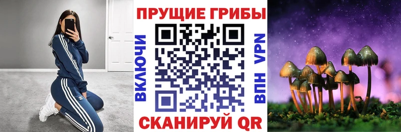 Галлюциногенные грибы MAGIC MUSHROOMS  Купить где  Ладушкин 